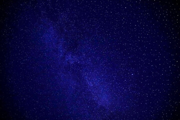 Wall Mural - Myriads of twinkling stars in celestial cosmos