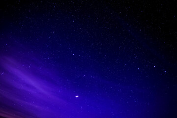 Wall Mural - Myriads of twinkling stars in celestial cosmos