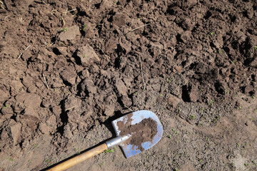 Wall Mural - Digging up ground. Brown soil texture background with copyspace and shovel on garden bed in farm garden. Organic farming, gardening, growing, agriculture concept