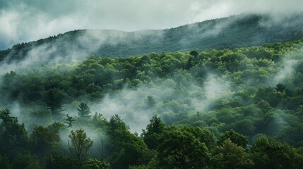 Wall Mural - Green Mountain shrouded in a picturesque mist