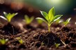 © Kheng Guan Toh - Closeup of little green sprout plant with leaves, showing environment growth and sustainability