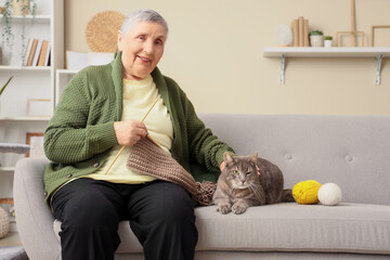 Wall Mural - Senior woman with cute cat knitting on sofa at home