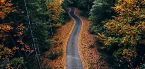 Wall Mural - A drone view of a winding forest road with vibrant autumn leaves scattered across the path and dense trees on either side 32k, full ultra hd, high resolution