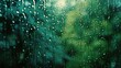 © GradPlanet - Raindrops on a Window, Silhouette of Trees in the Background