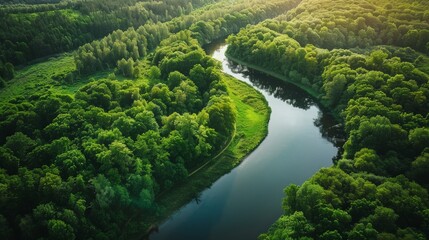 an aerial view of a lush green forest divided by a winding river, symbolizing climate change and env