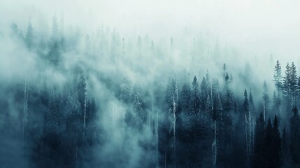 realistic photography of coniferous forest. abstract background of a northern forest
