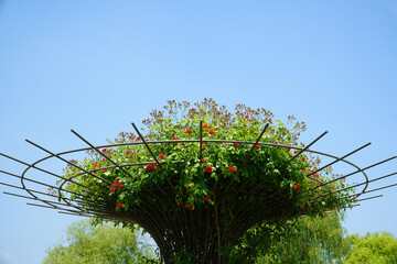 Wall Mural - tree with flowers