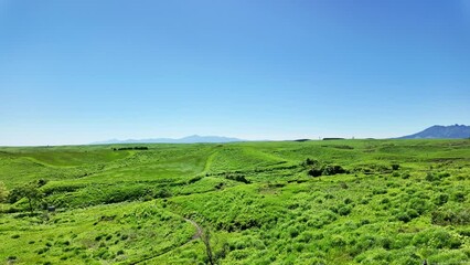 Poster - 広大な草原の風景