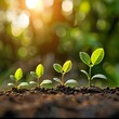 © Kraiwit - Maximize Financial Success: A Strategic Investment Approach in Professional Photography