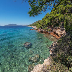 Wall Mural - calm, clear sea water of the mediterranean sea and the greenery of the rocky coast.