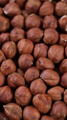 Sticker - Heap of hazelnuts close up, slider shot