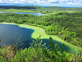 Wall Mural - lake in the forest