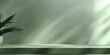 © Planetz - Empty beautiful green tabletop counter on green background, for display, Banner, product montage.green counter table with shadow leaf on green texture wallpaper wall luxury background