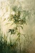 © Mandeep - Lone Cannabis Plant Amidst Tall Grass