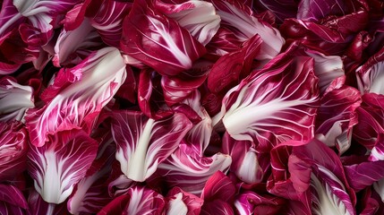 Wall Mural - Top-down of a pile of chopped radicchio