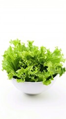 Wall Mural - A bowl of lettuce on a white background.