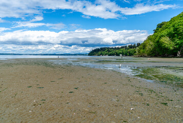 Poster - Beach Park Landscape 4