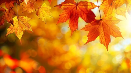 Wall Mural - yellow, red, orange, and yellow, red, and green leaves create a blurred, radiant background