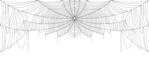 Wall Mural - spider web vector illustration