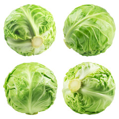 Wall Mural - cabbage collection isolated on a transparent background, from different angles.