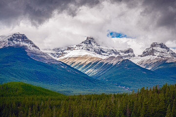 Poster - Icefield Vista