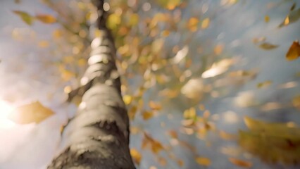 Poster - A tall tree with numerous leaves on its branches, creating a dense canopy, A dynamic composition of leaves fluttering and cascading down from a tall tree, captured in motion