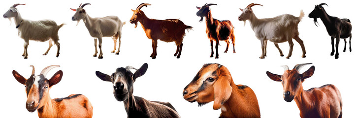 Wall Mural - goat silhouette isolated set png collection farm animal