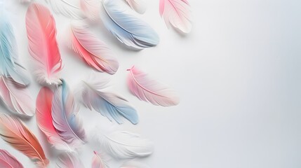 Wall Mural - pastel feather abstract background texture