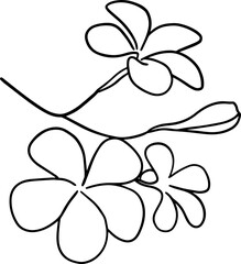 Wall Mural - Hand drawn plumeria flower