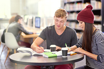 Poster - University, education and students studying for project, test or assignment in library on campus. Scholarship, knowledge and friends learning in college computer class with technology and information