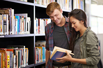Poster - University, books and students knowledge for project, test or assignment in library on campus. Scholarship, research and friends education in college learning class for teamwork and information