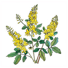 Wall Mural - a close up of a plant with yellow flowers and green leaves