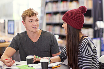 Aufkleber - Students, boy and girl with books in library for assignment, academic research and education. Campus, college or university for knowledge, learning and friends with discussion for essay assessment