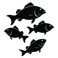Wall Mural - Set of Black Bass animal vector on white background