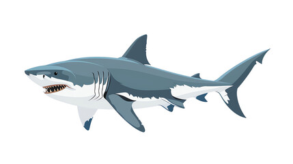Wall Mural - shark isolated on white