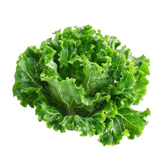 Wall Mural - lettuce isolated on transparent png
