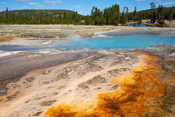 Wall Mural - Black sands geyser basin