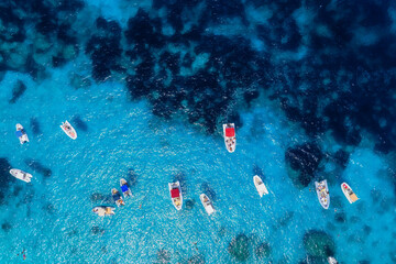 Wall Mural - aerial view on fast boats on blue sea at sunny day. vacation and leisure. fast ship on the sea surfa