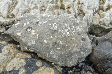 Wall Mural - Beachrock is a friable to well-cemented sedimentary rock that consists of a variable mixture of basalt gravel , sand , and silt-sized sediment. fragments of coral and shells . Geology 
