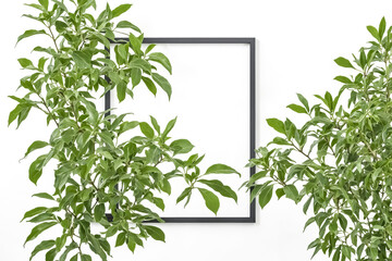 Canvas Print - Green Leaves and Black Frame on White Wall