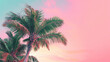 © MariКа - sky in pink tones with a palm tree view from below. Green coconut palm trees on summer colorful pink sky with copy space. Beautiful tropical seascape background minimal style