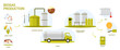 © Flash Vector - Biogas, bio energy production in industrial infographic scheme with process stages. Biomass of organic food and livestock waste processed into biofuel, electricity and heat cartoon vector illustration