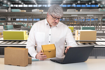 Poster - Man near conveyor belt with boxes. Courier warehouse contractor with laptop. Manager with box in automated storage facility. Guy near production line. Gray-haired man registers parcels at warehouse