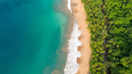 Wall Mural - a beach is lined with green bushes and a sandy shore