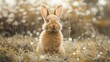 © 2rogan - Image of an endearing and charming brown fluffy bunny