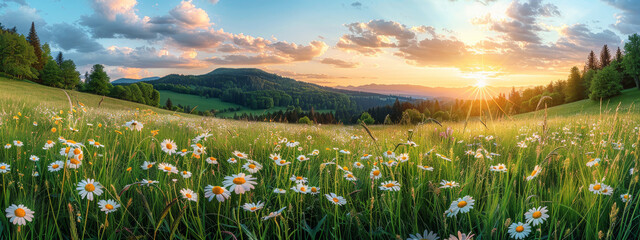 Wall Mural - Breathtaking sunset over a vibrant spring meadow with wildflowers
