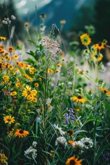 Wall Mural - medicinal flowers grow against the background of mountains. selective focus