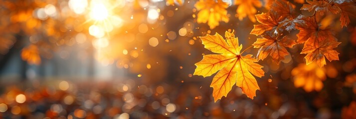 yellow maple leaves gently swirling in a city park on a calm autumn morning, bathed in sunlight with