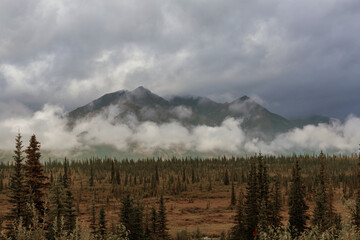 Canvas Print - Mountains in Alaska