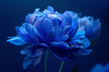Wall Mural - A blue flower with a blue stem